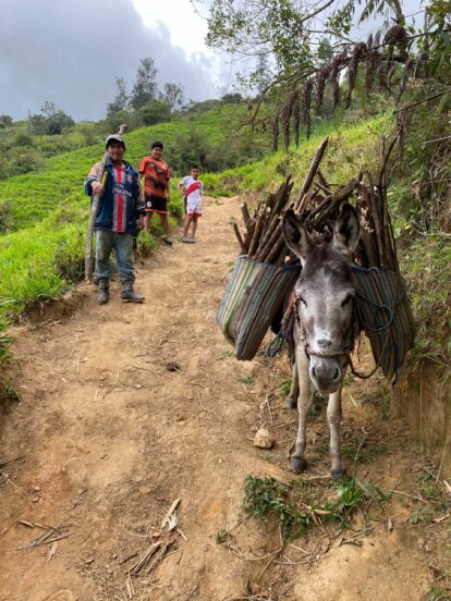 Peru2