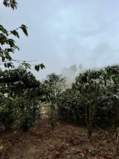 Peru4