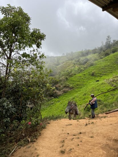 Peru5